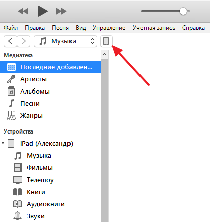 кнопка iPhone